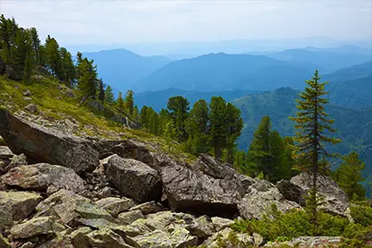 rockies